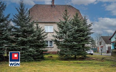 Mieszkanie willowe na wynajem Nowa Wieś - Photo 5