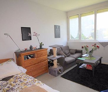 Appartement T1 bis SAINT-HERBLAIN THEBAUDIERE - Photo 2