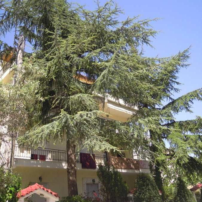 Διαμέρισμα για ενοικίαση Αμαλίειο Ορφανοτροφείο (Μαρούσι) - Photo 1