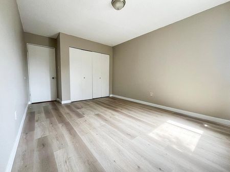 Ashley Court - Photo 2