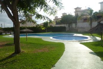 53 Tulipan – Id. 393