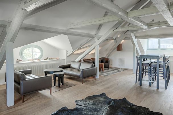 Historische Villa Windegg - Foto 1