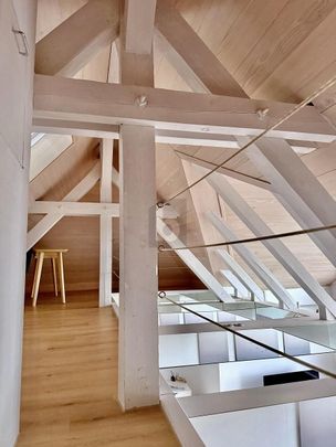 PANORAMIC VIEW OF THE BODENSEE - Photo 1