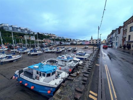 The Quay, Ilfracombe - Photo 4