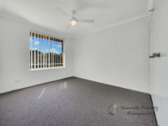 47 Minmi Rd, Edgeworth - Photo 1