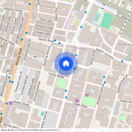 206/22 Rothschild Avenue, NSW 2018, Rosebery