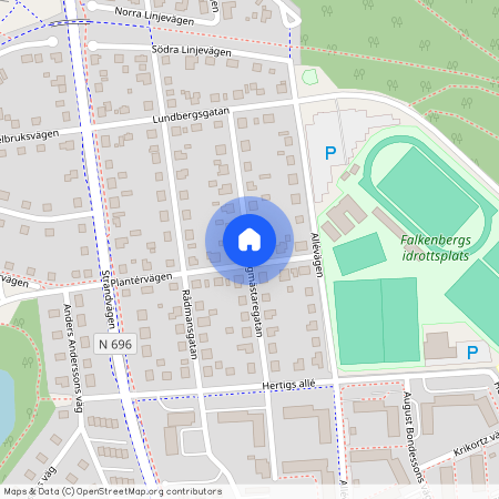 Borgmästaregatan, Falkenberg