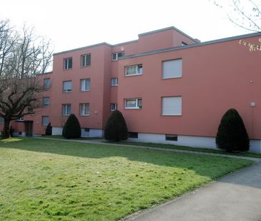 3 Zimmer, 70 m², 1. Stock - Foto 4