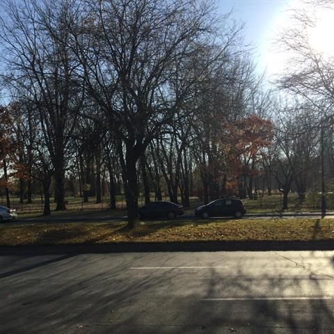 4-1/2 - Two Bed Apt. - Metro Angrignon - Photo 1