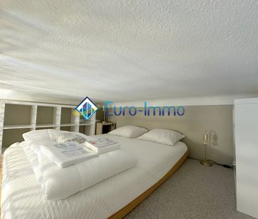 Location Appartement 1 pièce 13m² BEAUSOLEIL 06240 - Photo 6