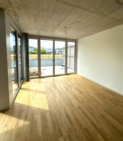 Moderne 4.5-Zimmer-Wohnung in neuem Terrassenhaus - Photo 3