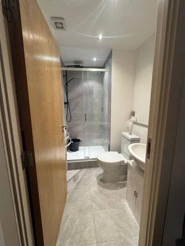 Room in a Shared Flat, Welland Street, SE10 - Photo 3