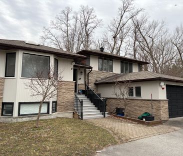 For Lease - 55 Proctor Avenue Unit# Basement, Markham, Ontario - Photo 1