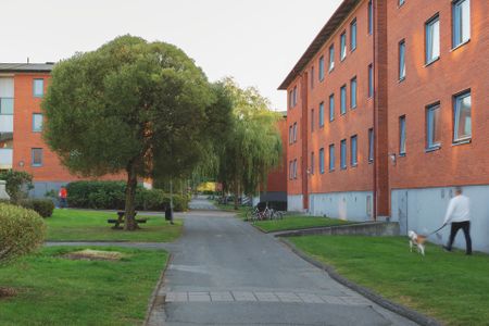 Pilegården 9E - Photo 3