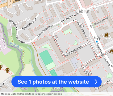 Living with a beautiful view in the Liebrüti development - Photo 1