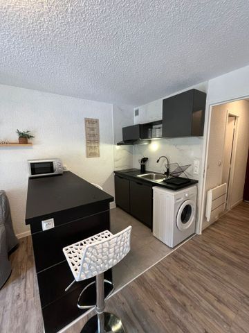 Location Appartement 1 pièce 24m² - Photo 3