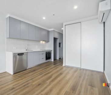 2 Bedroom apartment with arboretum views - Photo 6