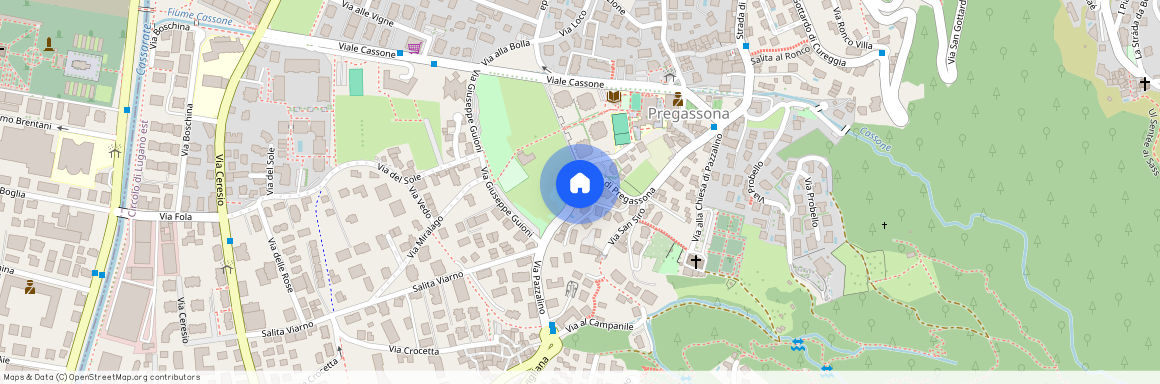 Pregassona 4.5 loc giardino, NC