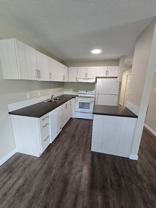 Modern Two Bedroom Unit on the North End - Photo 1