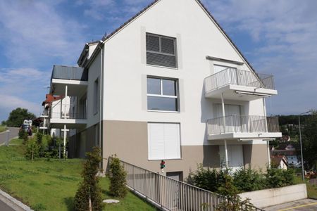 Spacious, modern, quiet and bright apartment on the ground floor - Photo 5