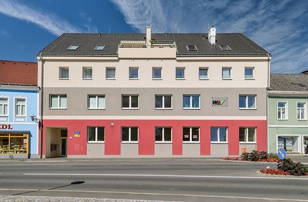 barrierefreie Wohnung in Heidenreichstein - Photo 2