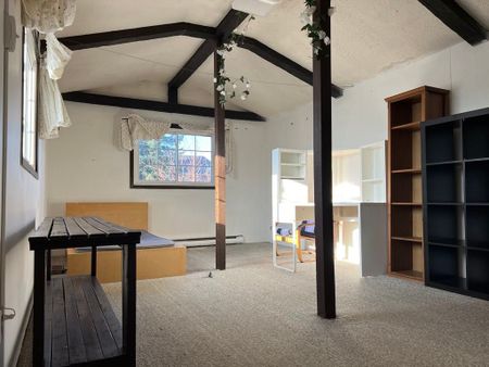 For Lease - 4 Jeanette Street Unit# Main, Toronto, Ontario - Photo 2