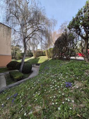 Süße, helle, wohlfühl 1 - Zimmerwohnung mit Loggia und Blick ins Grüne in Klosterneuburg - Foto 1