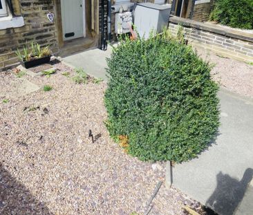Newcombe Street - Photo 3