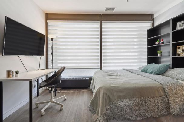 Flex Plus Room - Place Du Boulevard (Males Only) - Photo 1
