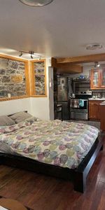 Studio Plateau Mont-Royal Cession de bail Lease transfer Dec 1 - Photo 4