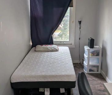 Rooms for Rent — 1 Bedroom Room For Rent - Photo 1