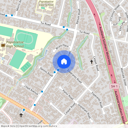 35 Pembroke Street, Papatoetoe, Manukau City