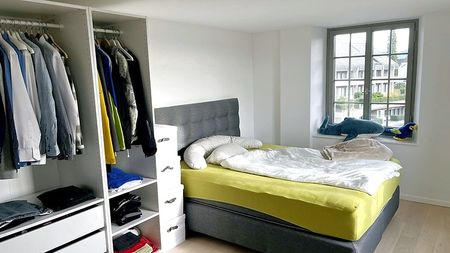 1½ Zimmer-Wohnung in Mettmenstetten (ZH), möbliert, auf Zeit - Photo 4