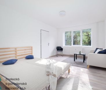 Pronájem bytu 1+1, Střekov, Ústí nad Labem - Photo 3