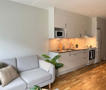 Plåtslagaregatan, Norrköping - Photo 6
