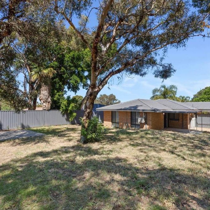Freshly Renovated Home in a Peaceful Bushland Setting - Photo 1