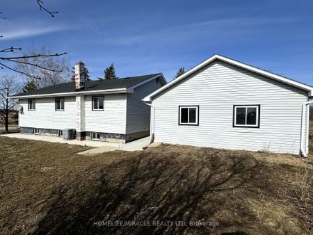 Detached Home For Lease | W8139912 - Photo 4