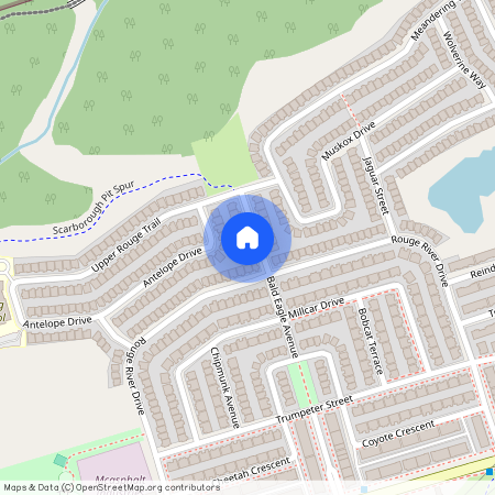 24 Bald Eagle Avenue Unit# Bsmt, Toronto