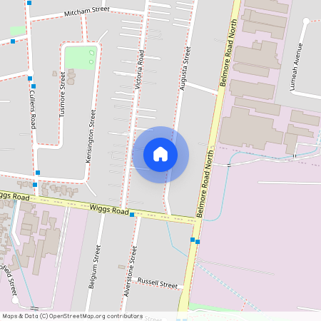 99, Augusta, Street, Punchbowl, 2196, New South Wales