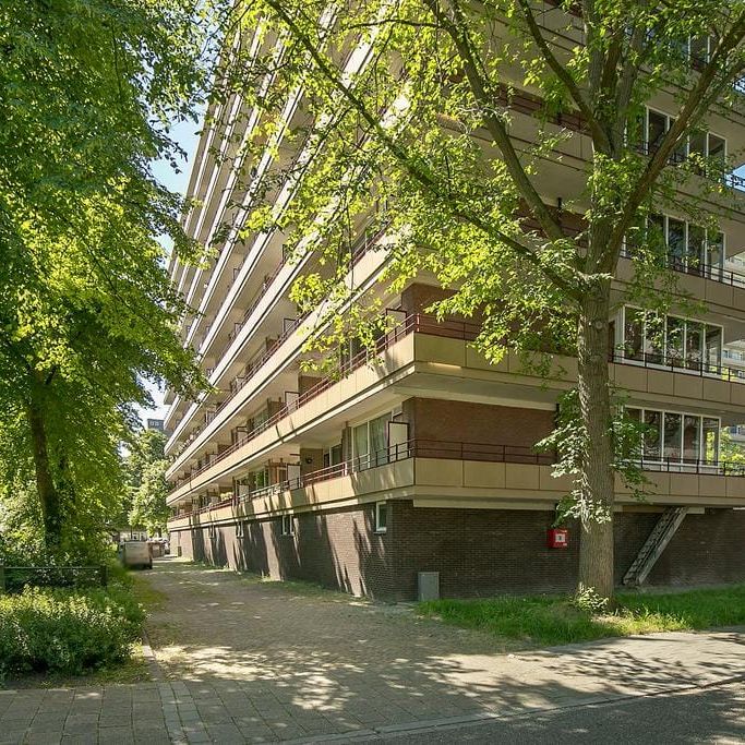 Arthur van Schendelplein 82, Voorhof-Hoogbouw, 2624CS, Delft - Photo 1