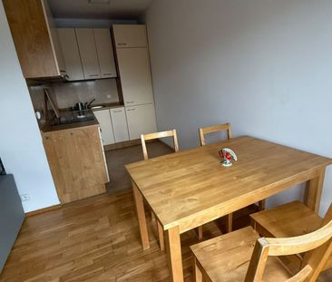 Pronájem bytu 2+kk • 46 m² bez realitkyNad Údolím, Husinec - Husine... - Photo 4