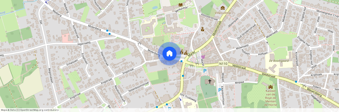 Molenberg 38 / 0.2, 2450 Meerhout