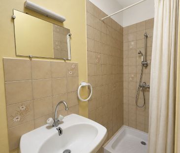 Location Appartement 1 pièce 26m² - Photo 3