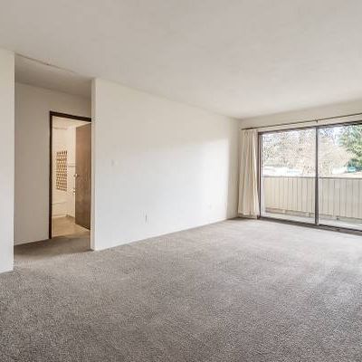 Lakehill Villa - 1 Bedroom - Available Now - Photo 4