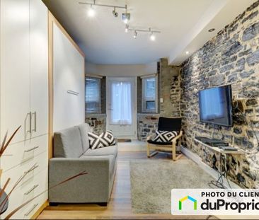 1-254, rue St-Jean, St-Jean-Baptiste à louer - Photo 2