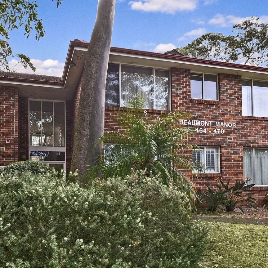 1/464 Pacific Highway, Lane Cove North NSW 2066 - Apartment For Rent | Domain - Photo 2