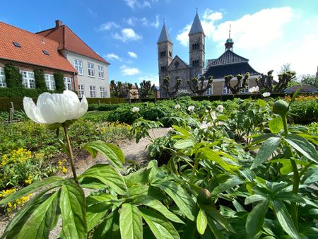 Hyggelig 2 værelses lejlighed til leje nu i Viborg midtby - Photo 3