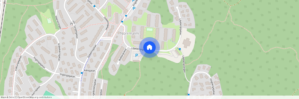 Liljebergsgatan, Borås