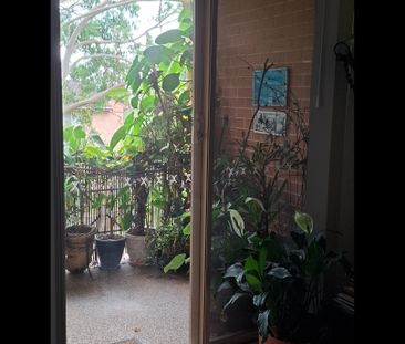 Sutherland - Photo 6