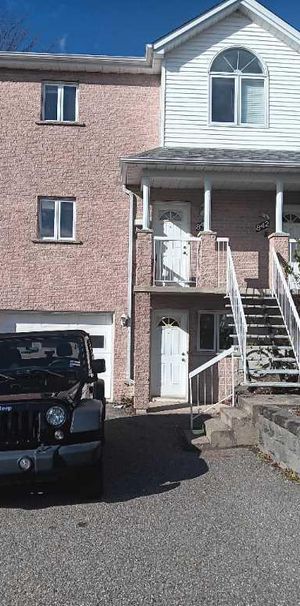 Chambre 1 1/2 acceptant 1 chat - Photo 1